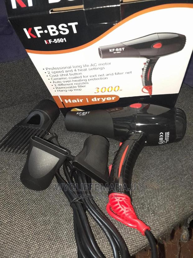 3000w Powerful Commercial Blow Dryer - thumbnail 2