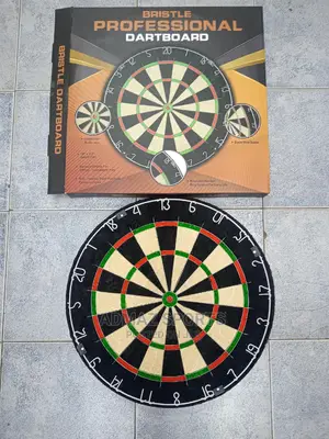 Professional Dartboard