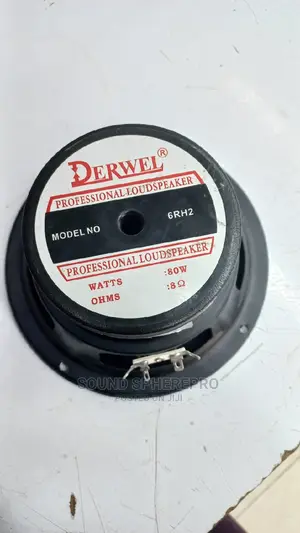 Derwel 6inch Naked Speaker
