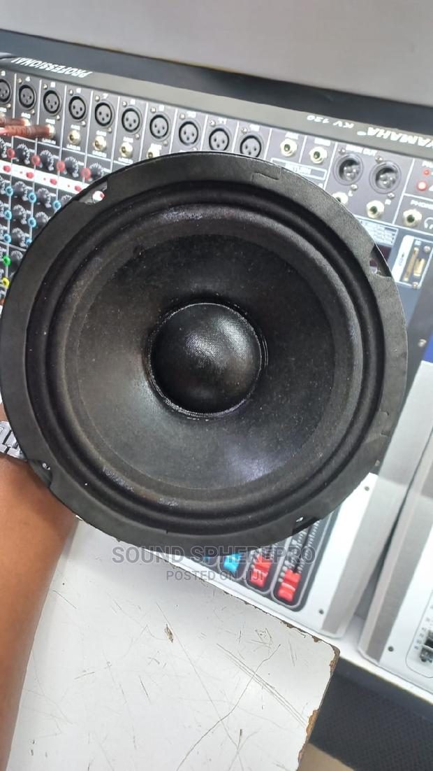 Derwel 6inch Naked Speaker - thumbnail 2