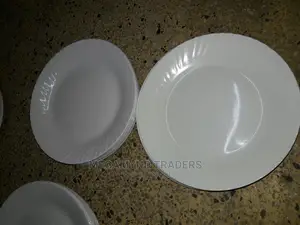 Melamine Plate/12pc Catering Plates