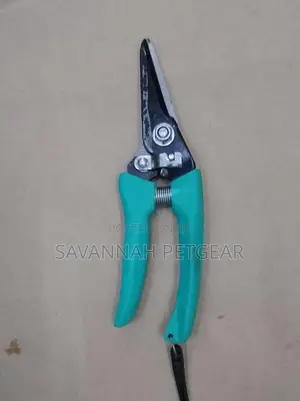 High Quality Pruning Scissors
