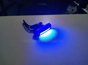 Multicolored Rear Lights