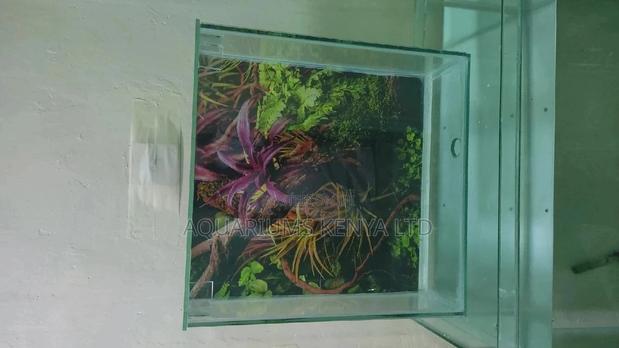 Wall , 45cm by 45cm , Wall Aquarium - main view