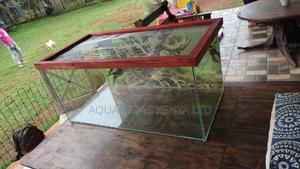 Reptile Terrarium , Available - thumbnail 2
