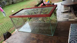 Reptile Terrarium , Available