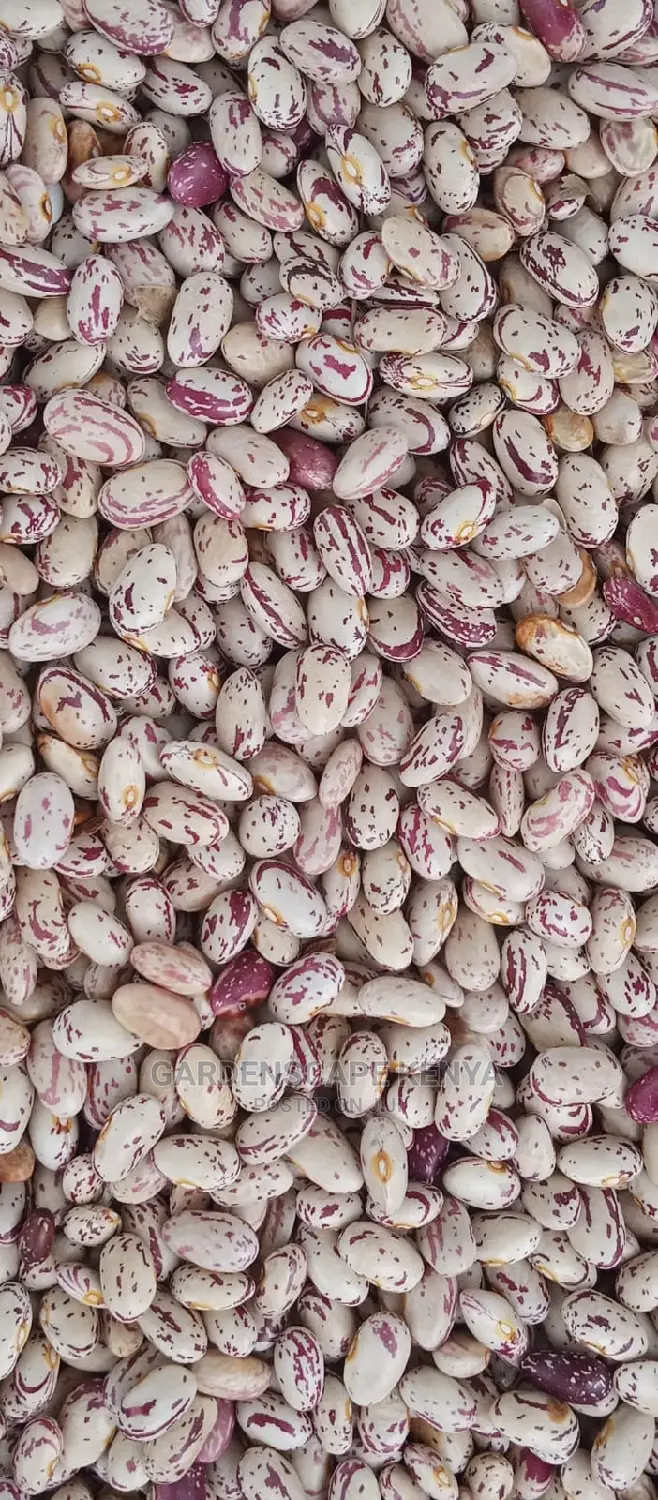 Rose Coco Beans