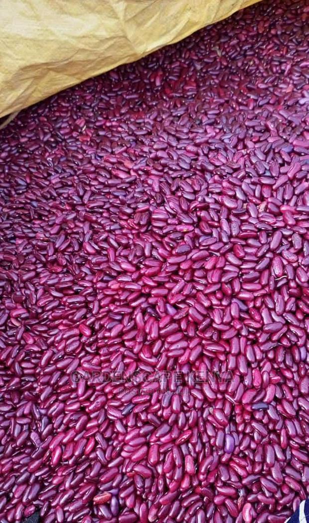 Red Kidney Beans - main view