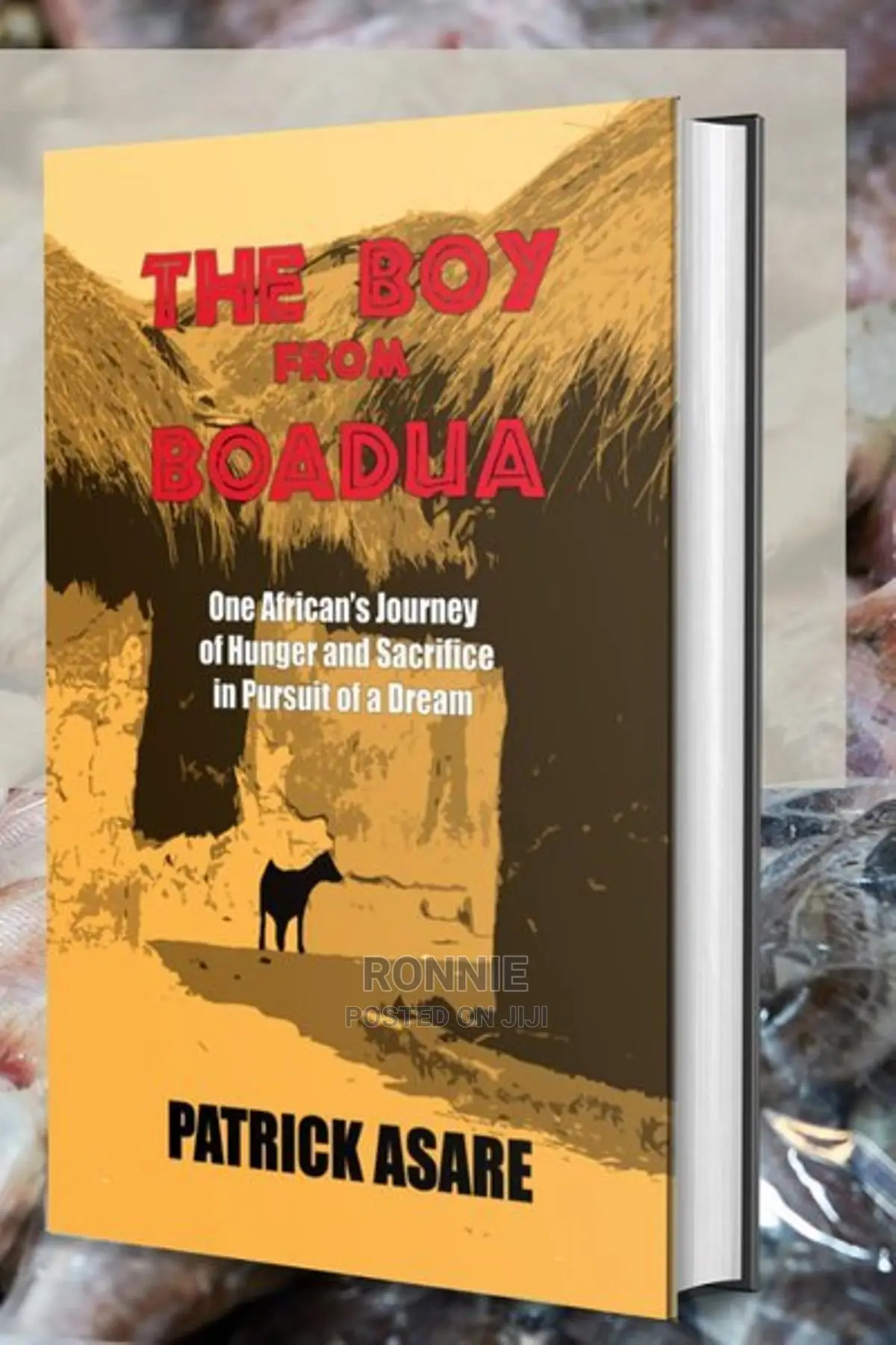 The Boy From Boadua Book by Patrick Asare