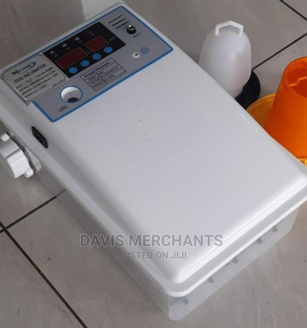 Eggs Incubator With 16 Eggs Capacity Both Ac/Dc Functions - main view