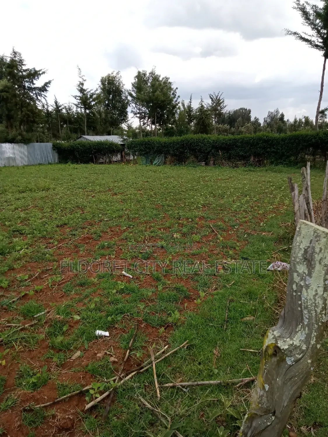 1/4 Plot Ilula Less Than 100metres From Tarmac