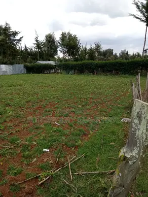 1/4 Plot Ilula Less Than 100metres From Tarmac