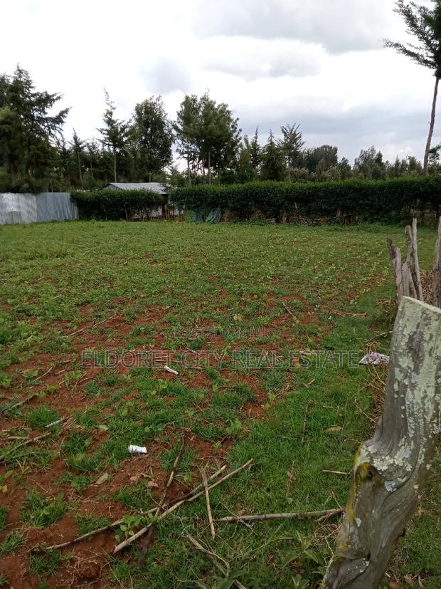 1/4 Plot Ilula Less Than 100metres From Tarmac - thumbnail 2
