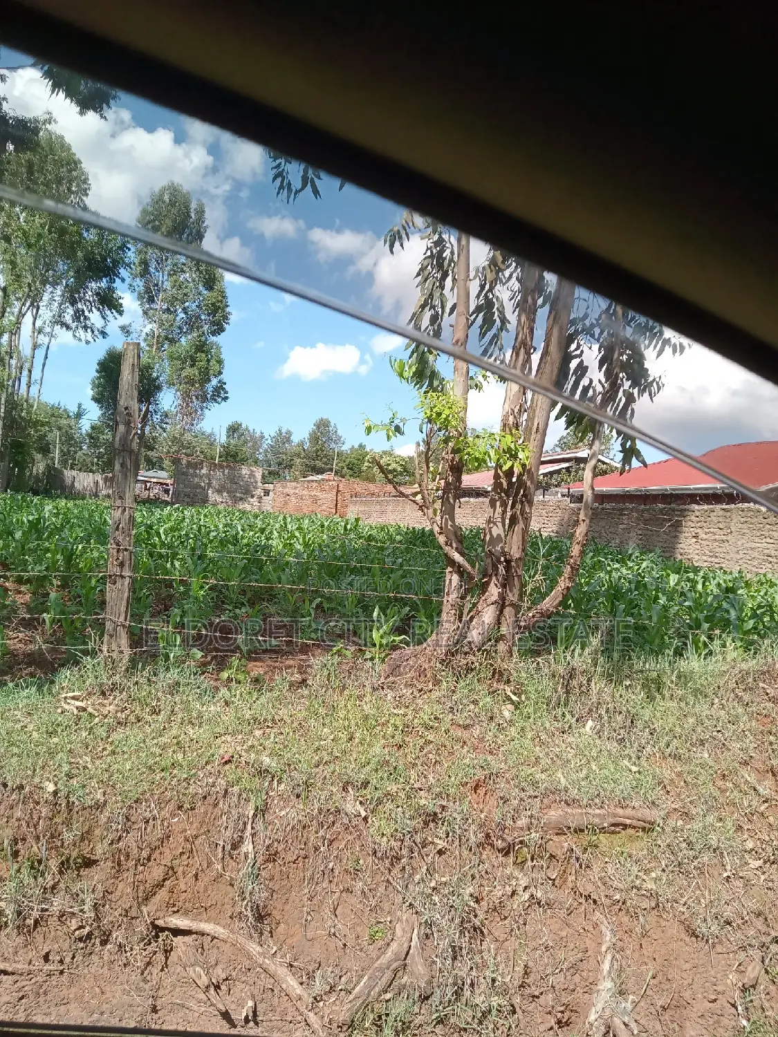 1/4 Plot Kimumu Junction With Title