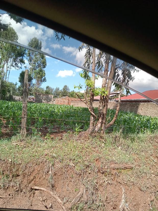 1/4 Plot Kimumu Junction With Title - thumbnail 2