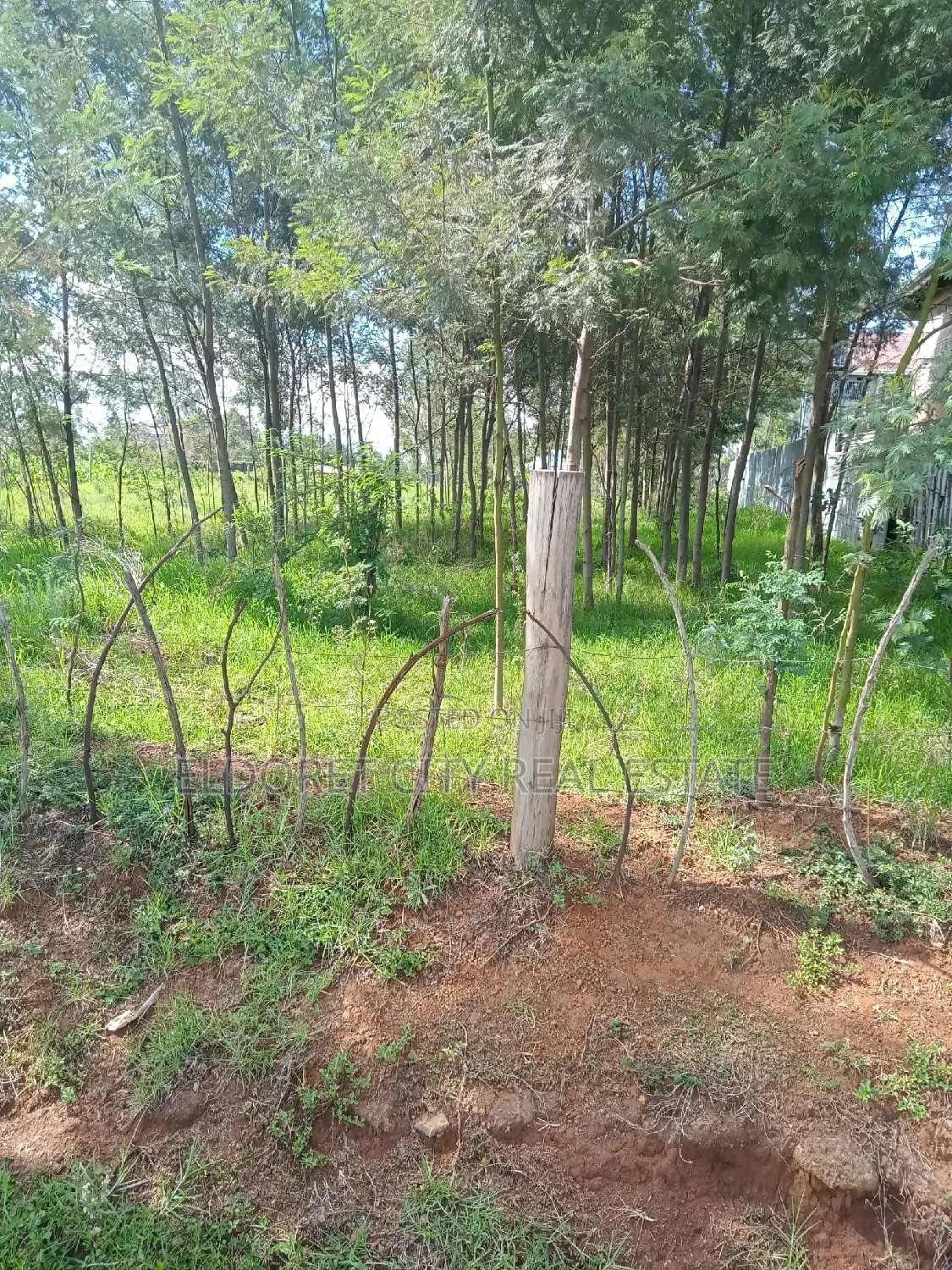 1/2 Acre Annex Ideal for Rental.