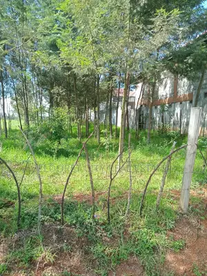 1/2 Acre Annex Ideal for Rental.