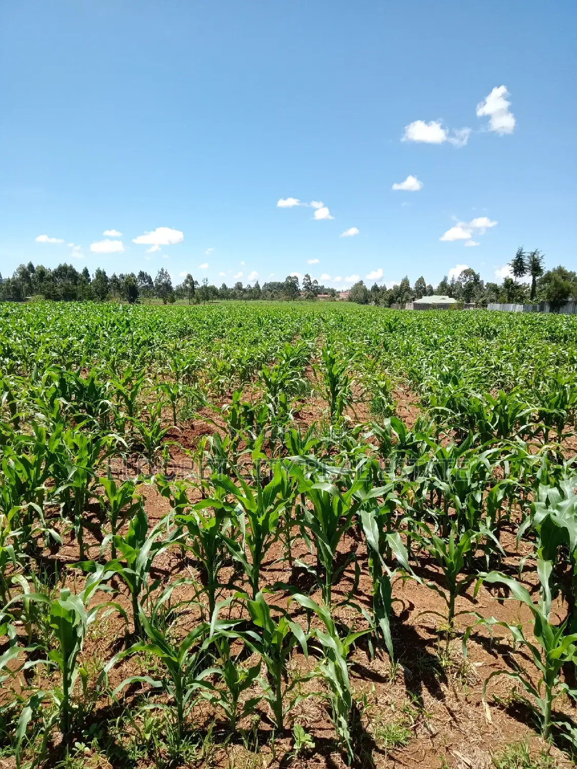 10 Acres Annex With Title