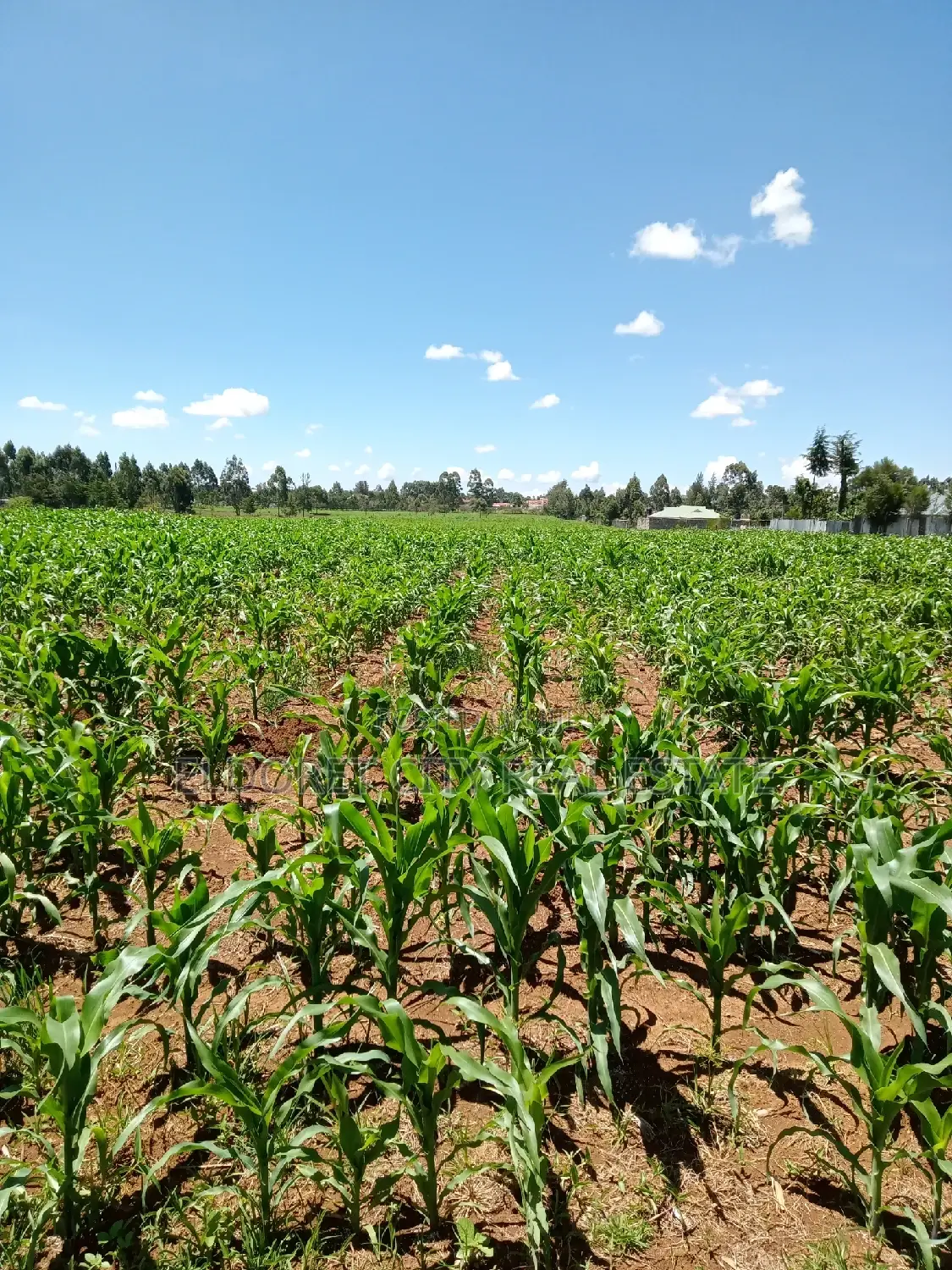 10 Acres Annex With Title