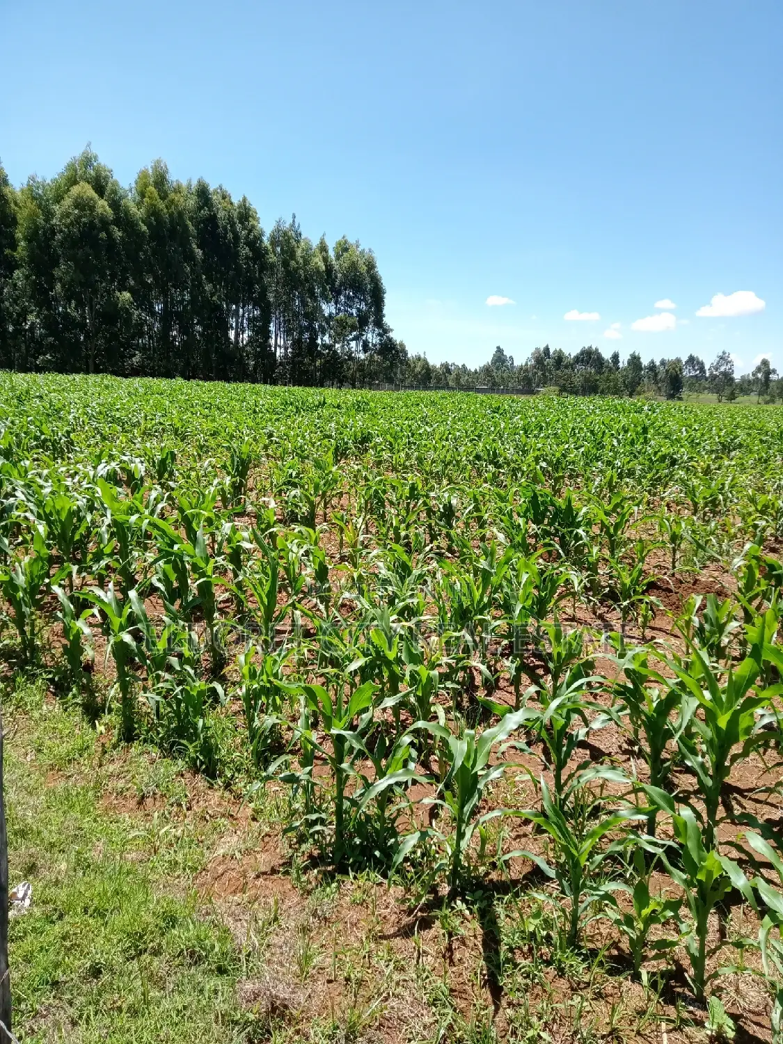 10 Acres Annex With Title
