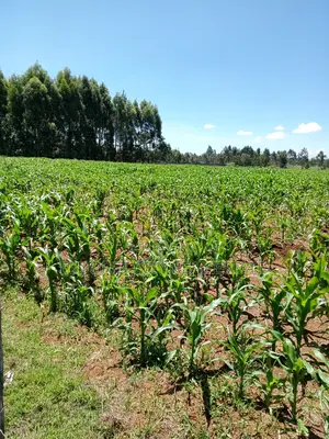 10 Acres Annex With Title