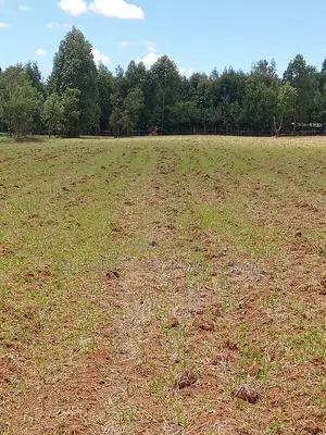 65 Acres Cheplasgei With Title