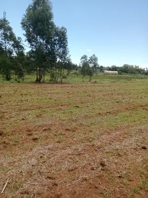 65 Acres Cheplasgei With Title