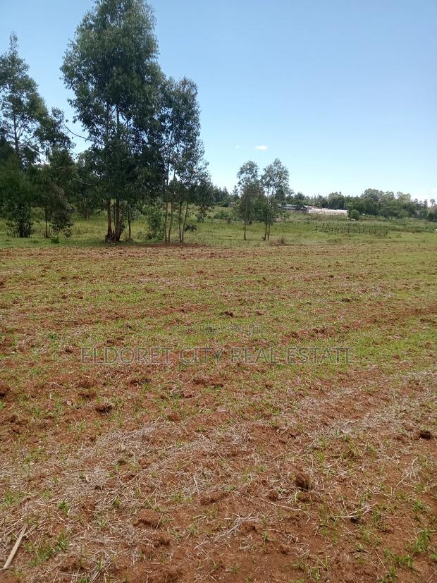 65 Acres Cheplasgei With Title - thumbnail 2