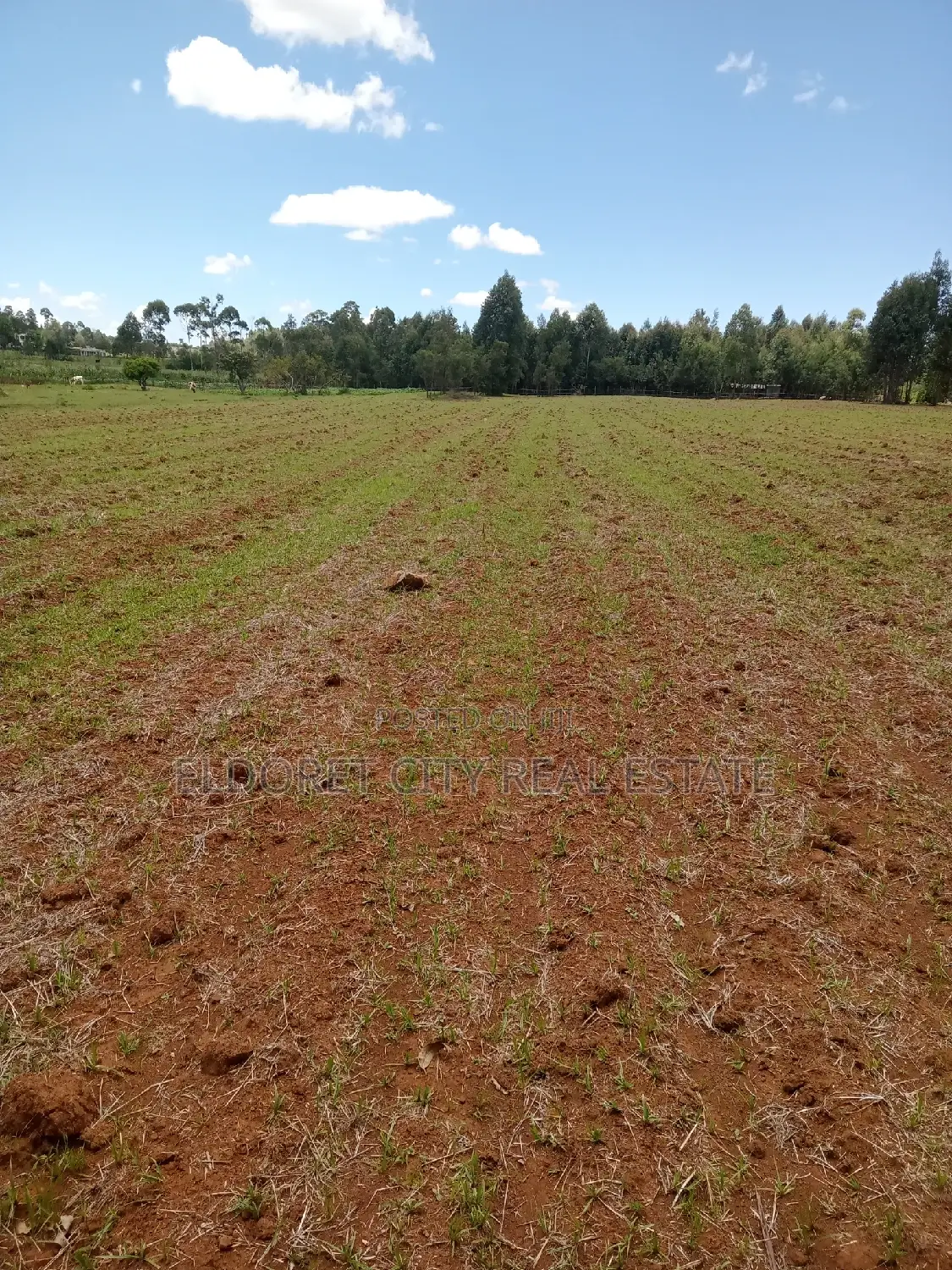 65 Acres Cheplasgei With Title