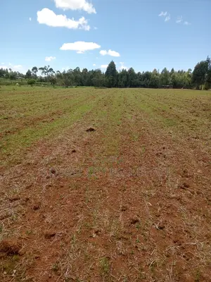 65 Acres Cheplasgei With Title