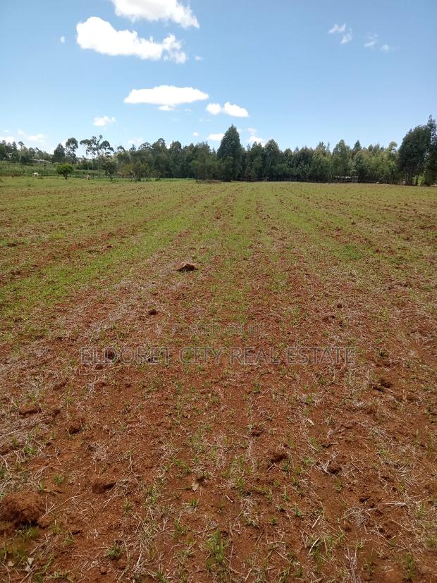 65 Acres Cheplasgei With Title - thumbnail 3