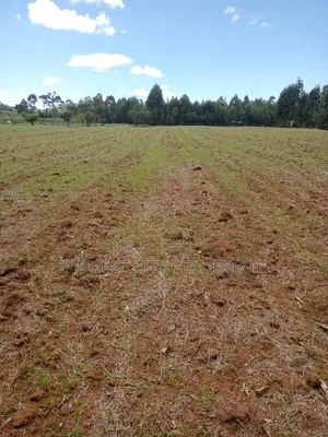 65 Acres Cheplasgei With Title