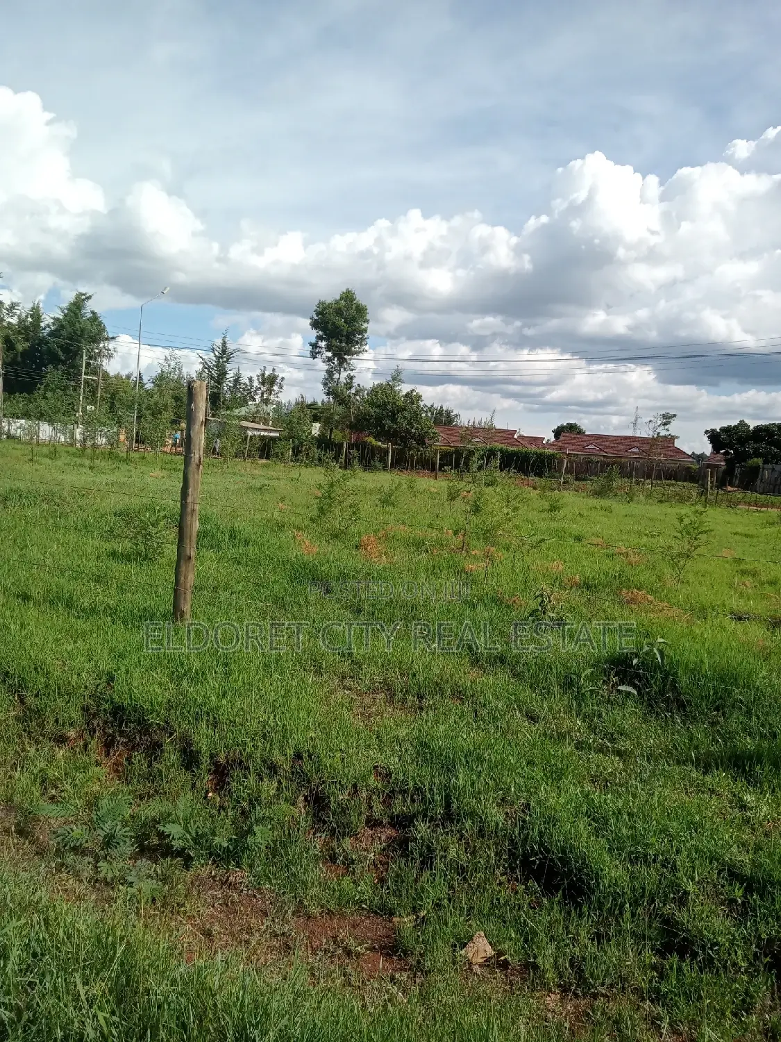 1/8 Plots Marriott With Title.