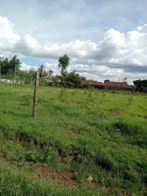 1/8 Plots Marriott With Title.