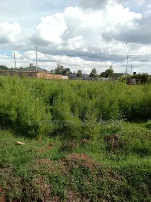 1/8 Plots Marriott With Title.