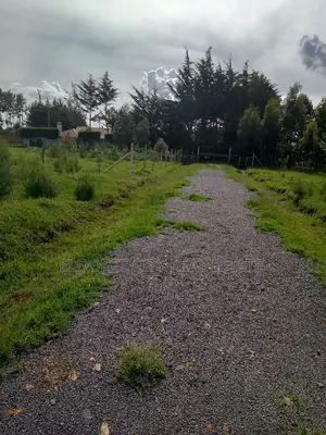 1/4 Plots Marriott Ideal for Residential With Title