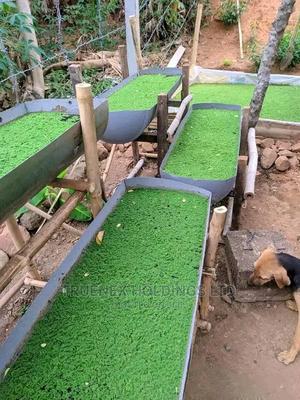 Azola Farming Services - main view