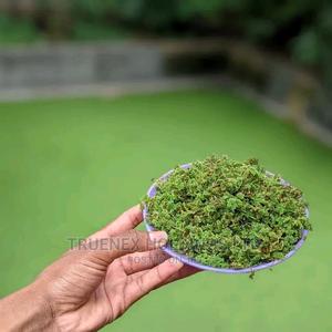 Azola Farming Systems - main view