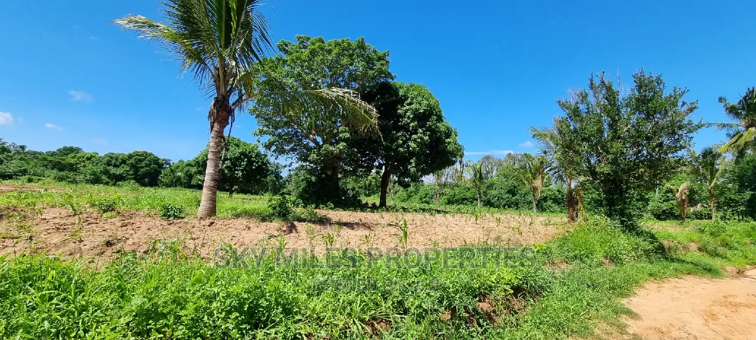 Bomani,5 Acres on Sale