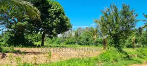 Bomani,5 Acres on Sale