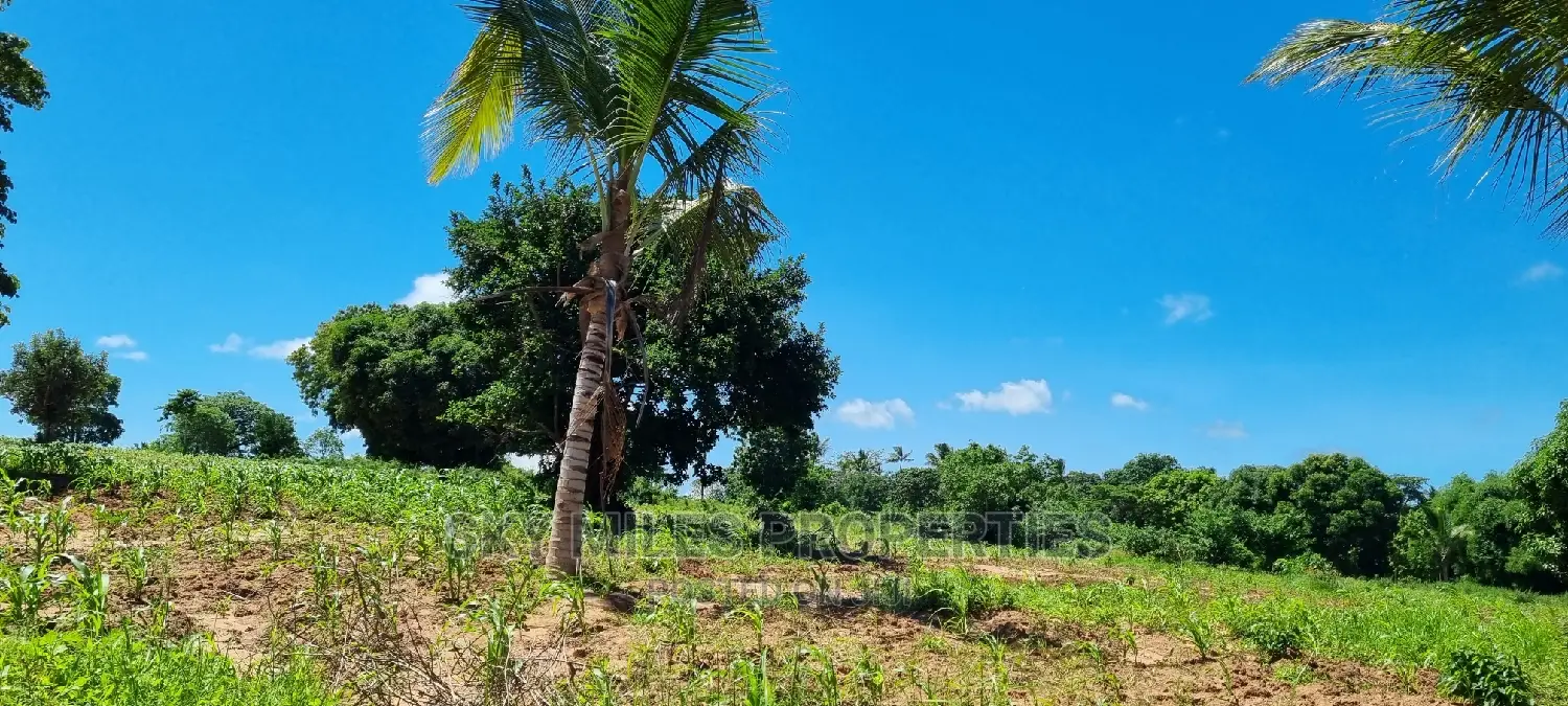 Bomani,5 Acres on Sale