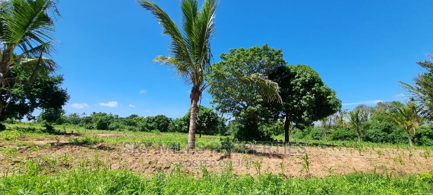 Bomani,5 Acres on Sale