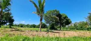Bomani,5 Acres on Sale