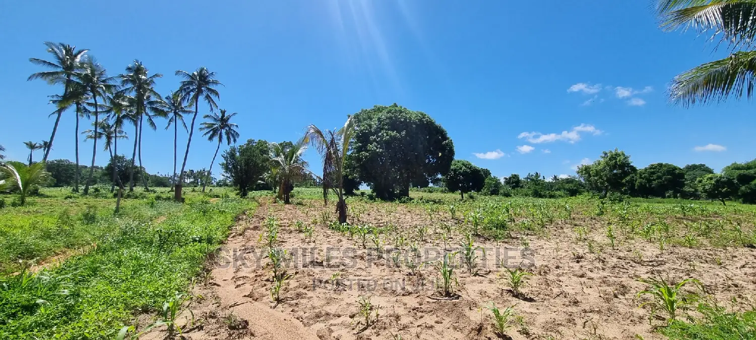 Bomani,5 Acres on Sale