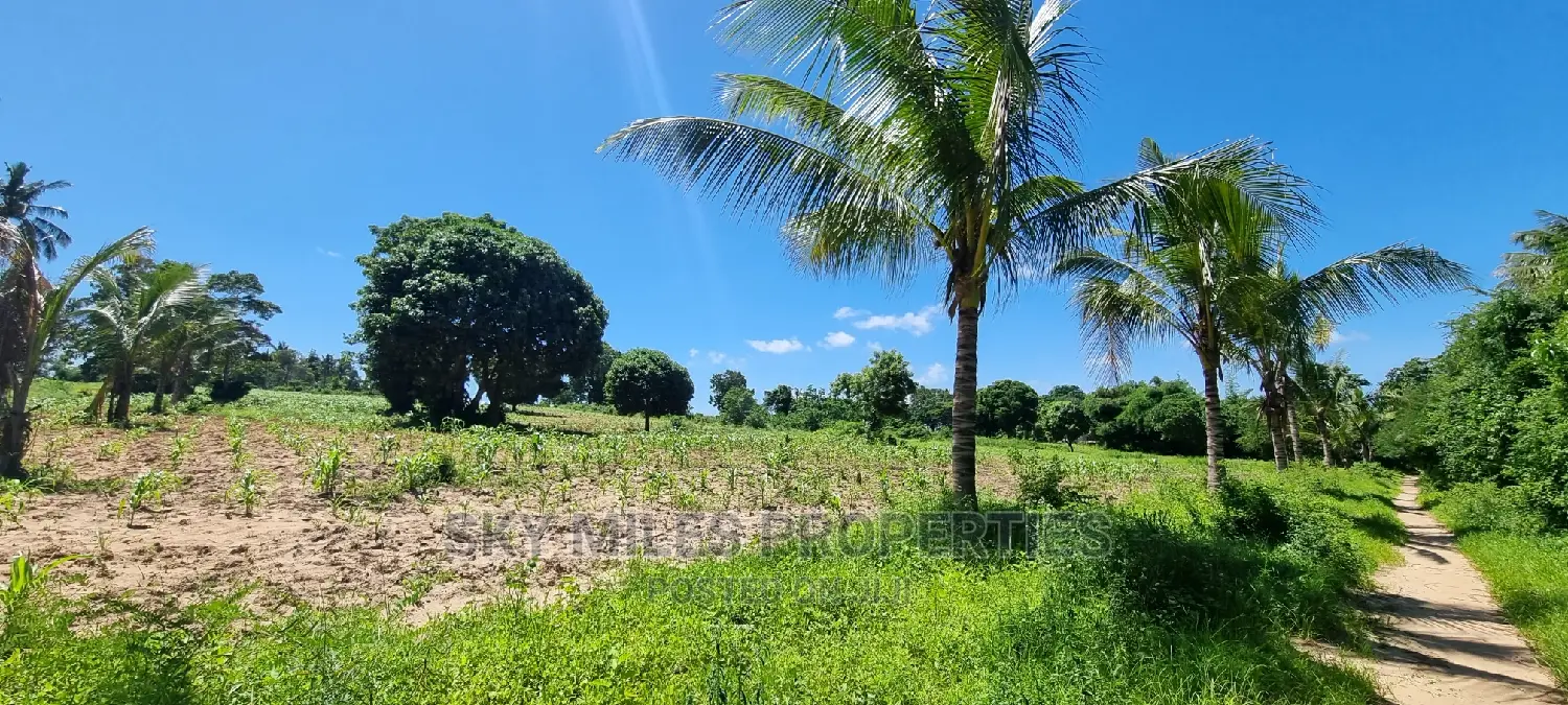 Bomani,5 Acres on Sale