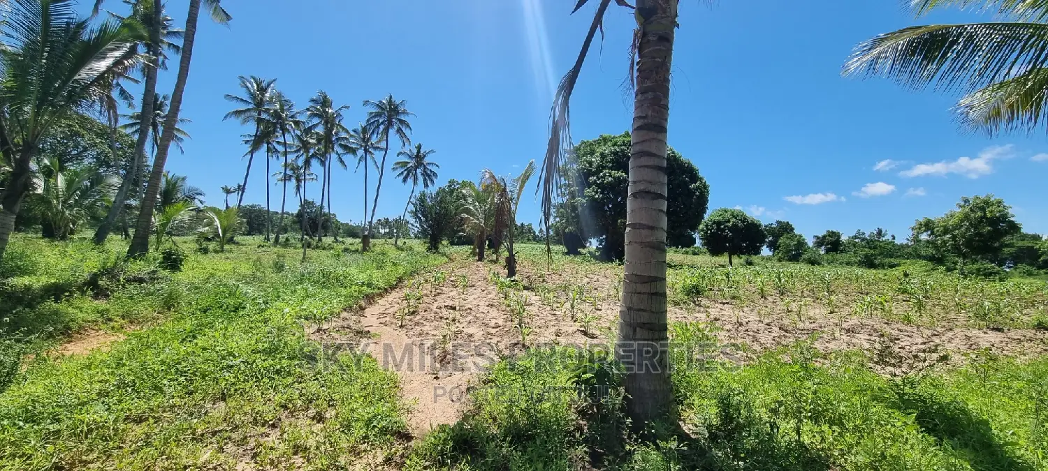 Bomani,5 Acres on Sale
