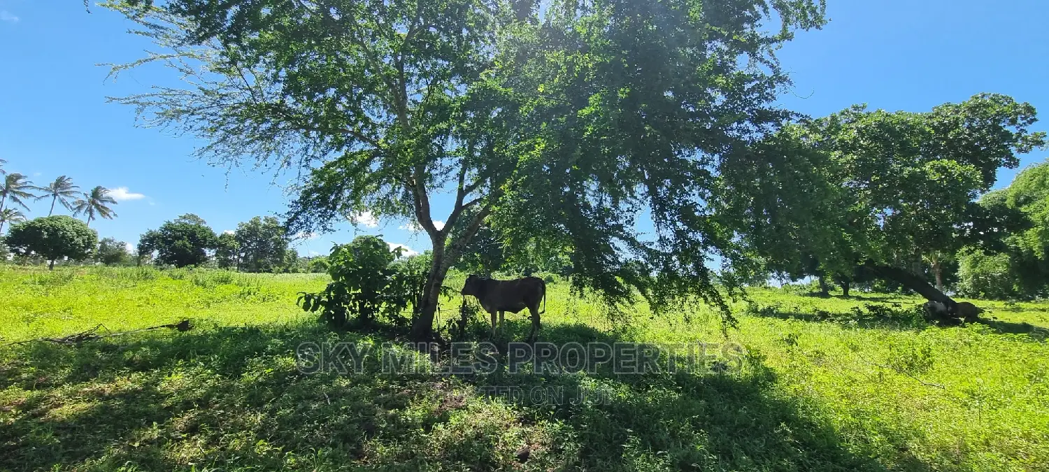 Bomani,5 Acres on Sale