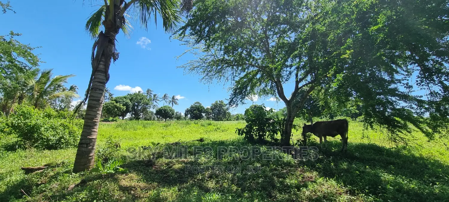 Bomani,5 Acres on Sale