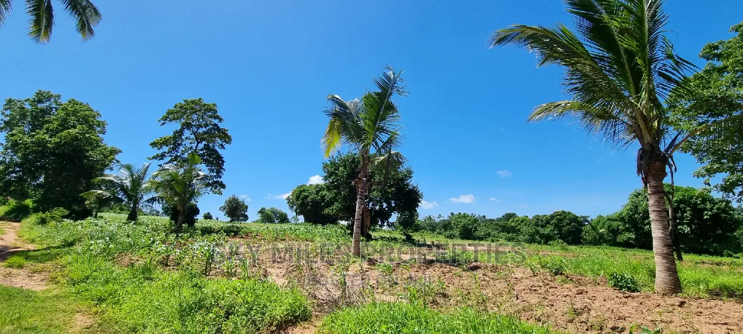 Bomani,5 Acres on Sale
