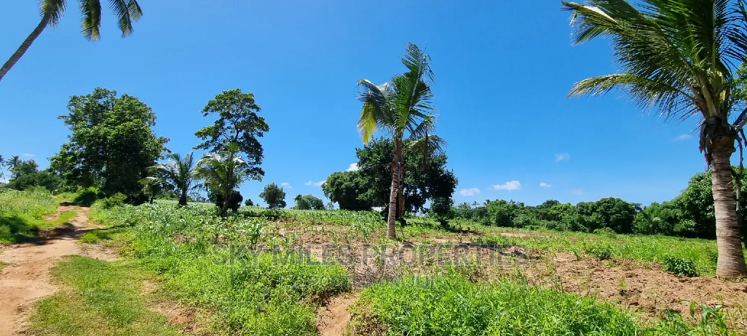 Bomani,5 Acres on Sale